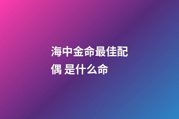海中金命最佳配偶 是什么命